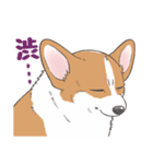 殿と犬（個別スタンプ：30）