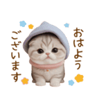 スコティッシュ猫 毎日使える可愛い 敬語（個別スタンプ：2）