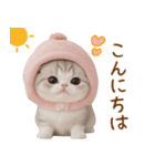 スコティッシュ猫 毎日使える可愛い 敬語（個別スタンプ：3）