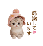 スコティッシュ猫 毎日使える可愛い 敬語（個別スタンプ：7）