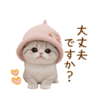 スコティッシュ猫 毎日使える可愛い 敬語（個別スタンプ：20）