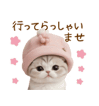 スコティッシュ猫 毎日使える可愛い 敬語（個別スタンプ：25）