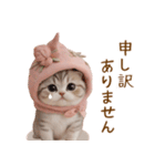 スコティッシュ猫 毎日使える可愛い 敬語（個別スタンプ：28）