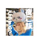 トムとマユミの日常スタンプ（個別スタンプ：12）