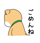 レトロかわいい犬（個別スタンプ：11）