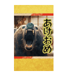 ⚫正月グリズリーベア (年越し/干支/お年玉)（個別スタンプ：3）