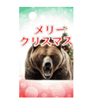 ⚫正月グリズリーベア (年越し/干支/お年玉)（個別スタンプ：15）