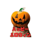 仮装をしたリアル柴犬〜ハロウィン編〜（個別スタンプ：16）