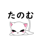 可愛い猫（白）（個別スタンプ：3）