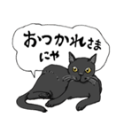 黒猫クロの日常（個別スタンプ：8）