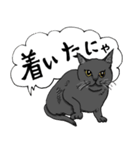 黒猫クロの日常（個別スタンプ：15）