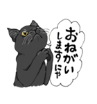 黒猫クロの日常（個別スタンプ：19）