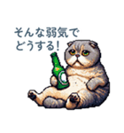 アルコール猫【酒クズ・おもしろい】（個別スタンプ：13）