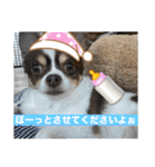 この世の悪★ザ・うーちー！（個別スタンプ：1）