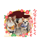 この世の悪★ザ・うーちー！（個別スタンプ：2）