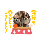 この世の悪★ザ・うーちー！（個別スタンプ：8）