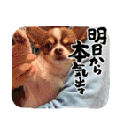 この世の悪★ザ・うーちー！（個別スタンプ：12）