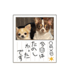 この世の悪★ザ・うーちー！（個別スタンプ：17）