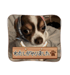 この世の悪★ザ・うーちー！（個別スタンプ：19）