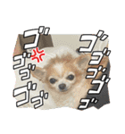 この世の悪★ザ・うーちー！（個別スタンプ：20）