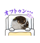 この世の悪★ザ・うーちー！（個別スタンプ：21）