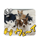この世の悪★ザ・うーちー！（個別スタンプ：23）