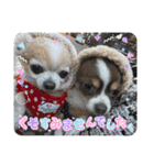 この世の悪★ザ・うーちー！（個別スタンプ：24）
