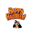 ハロウィンにゃんこと可愛い仲間たち（個別スタンプ：3）