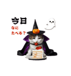 ハロウィンにゃんこと可愛い仲間たち（個別スタンプ：15）