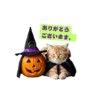 ハロウィンにゃんこと可愛い仲間たち（個別スタンプ：23）