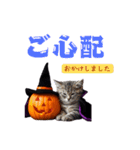 ハロウィンにゃんこと可愛い仲間たち（個別スタンプ：29）