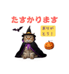 ハロウィンにゃんこと可愛い仲間たち（個別スタンプ：33）