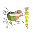 コザクラインコ好きスタンプ2（個別スタンプ：3）