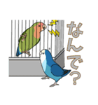 コザクラインコ好きスタンプ2（個別スタンプ：12）