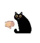 奇妙な黒猫 (pixel)（個別スタンプ：3）