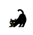 奇妙な黒猫 (pixel)（個別スタンプ：11）