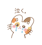 毎日ミケねこちゃん（個別スタンプ：11）