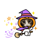 たまそらハロウィン（個別スタンプ：2）