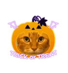 たまそらハロウィン（個別スタンプ：3）