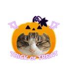 たまそらハロウィン（個別スタンプ：4）