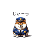 警察になった太っちょ柴犬（個別スタンプ：37）