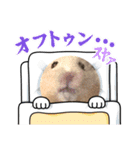 きんちゃん日常pt1（個別スタンプ：25）