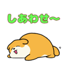 柴犬サン（NT）（個別スタンプ：7）