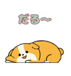 柴犬サン（NT）（個別スタンプ：8）