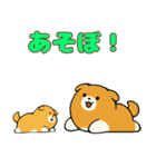 柴犬サン（NT）（個別スタンプ：14）