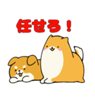 柴犬サン（NT）（個別スタンプ：15）