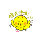 かわいいひよこのスタンプです。（個別スタンプ：13）