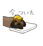 やきうとうさぎさん（個別スタンプ：4）