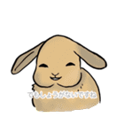 やきうとうさぎさん（個別スタンプ：20）