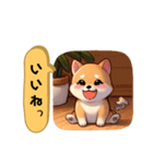 かわいい♡柴犬ちゃん（個別スタンプ：13）